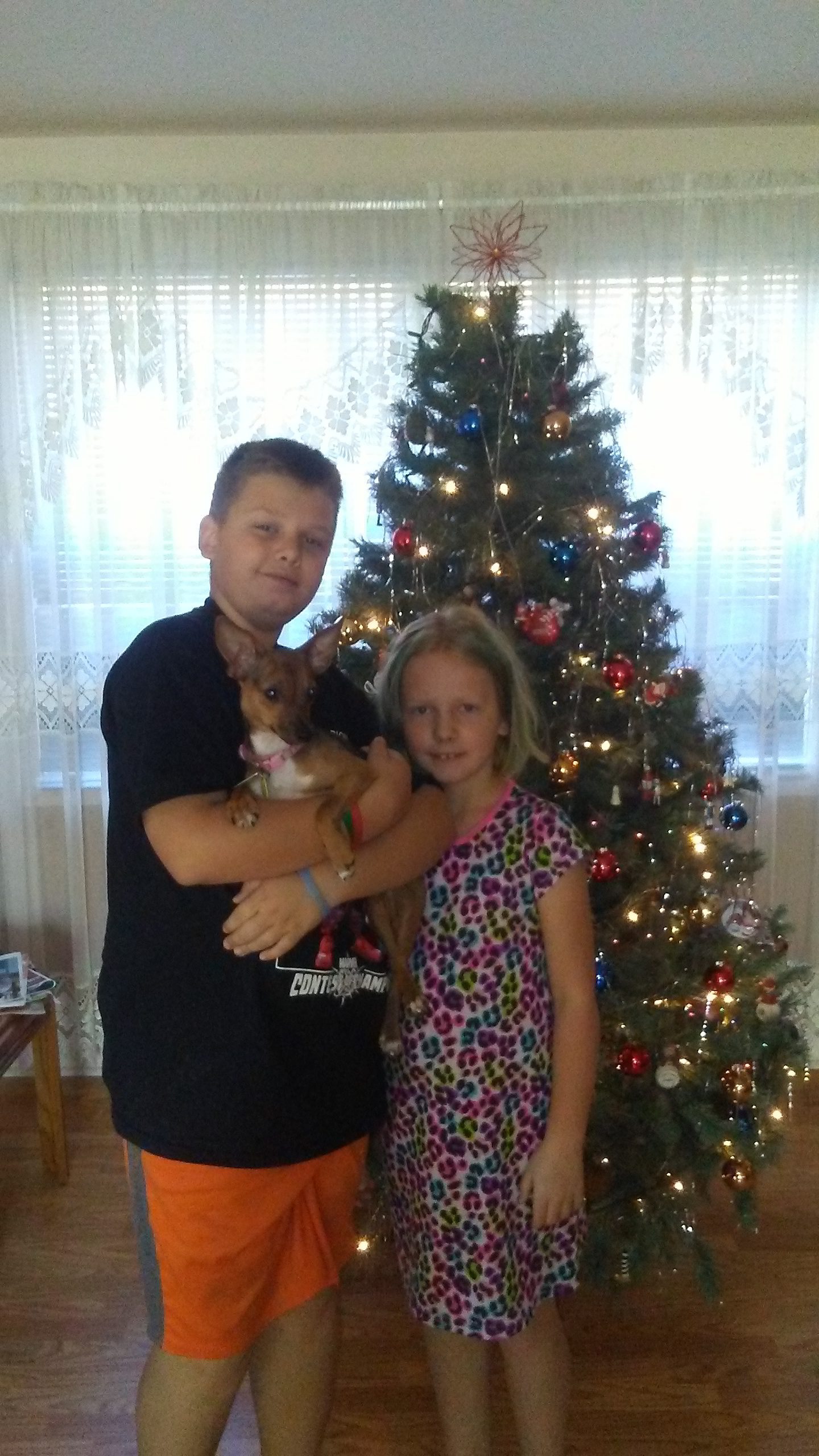 elijah-marett-and-ginger-formerly-soko-are-ready-for-christmas