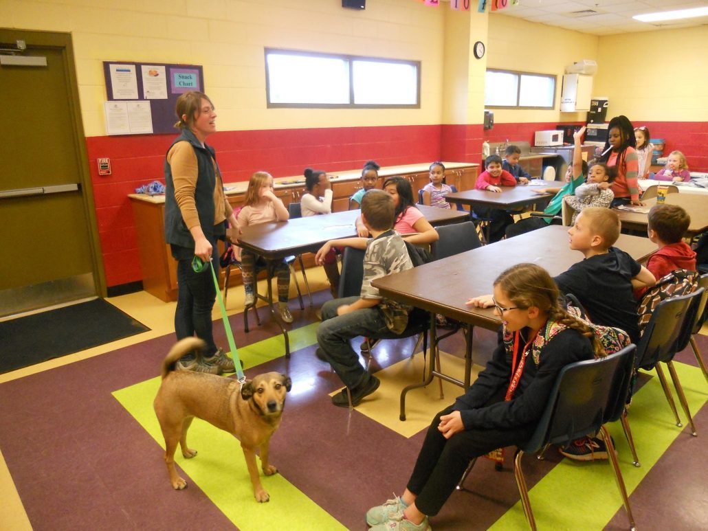 Meet Our New Executive Director - Blue Ridge Humane Society