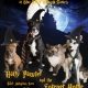 Cats and dogs dressed in Harry Potter theme promoting reduced adoption rates