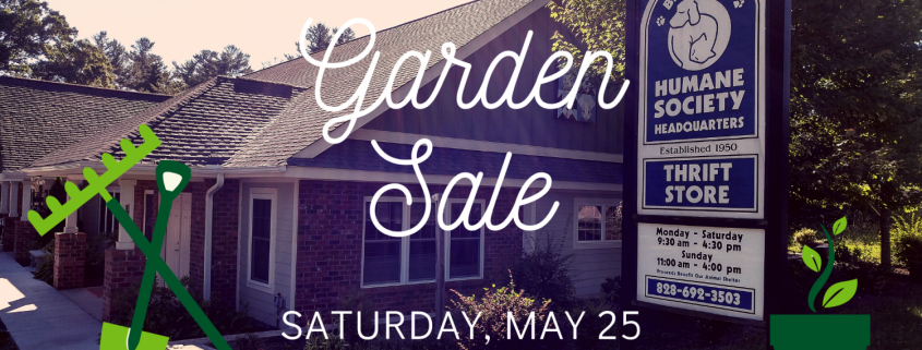 Garden Sale At The Blue Ridge Humane Thrift Store Blue Ridge