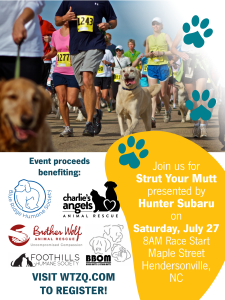 event flyer for strut your mutt