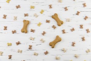 dog treats in bone shapes spread on a table