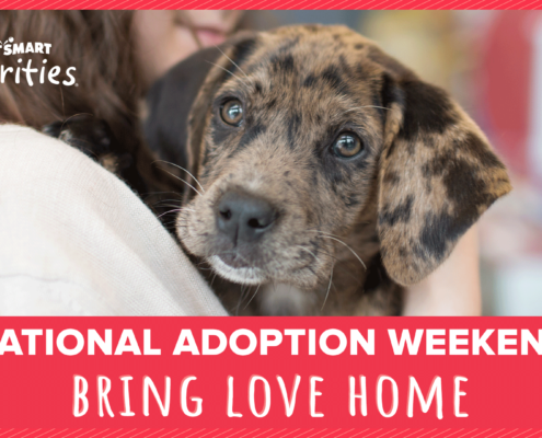 Petsmart national adoption weekend