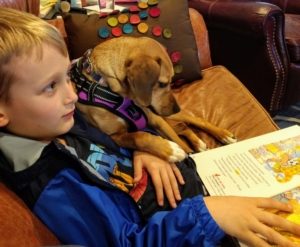 boy sits on couch reading to medium sized light brown dog