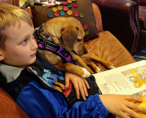 boy sits on couch reading to medium sized light brown dog