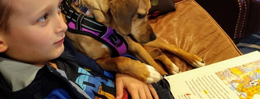 boy sits on couch reading to medium sized light brown dog