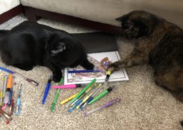 two cats on the floor on top of coloring book with markers spread around.