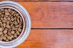 bowl of dog food on a wooden floor