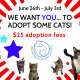 Cat adoption promo flyer