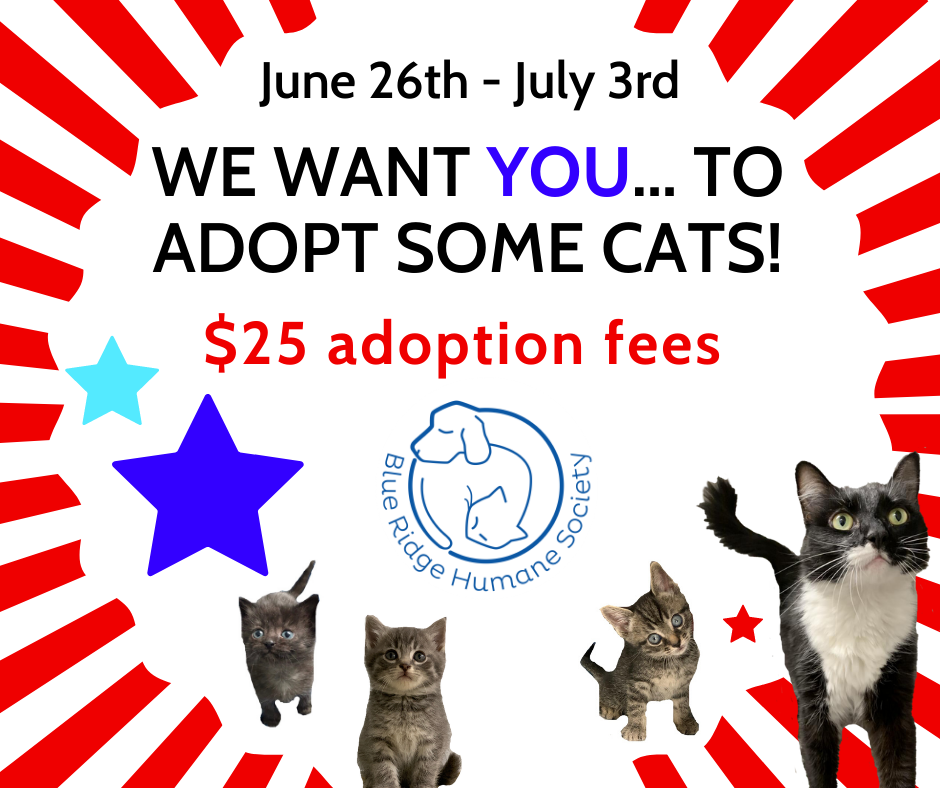25 Cat Adoption Fees Blue Ridge Humane Society