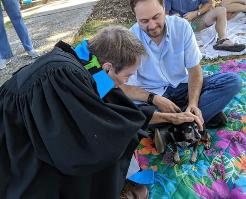 a roped clergy pets small dog