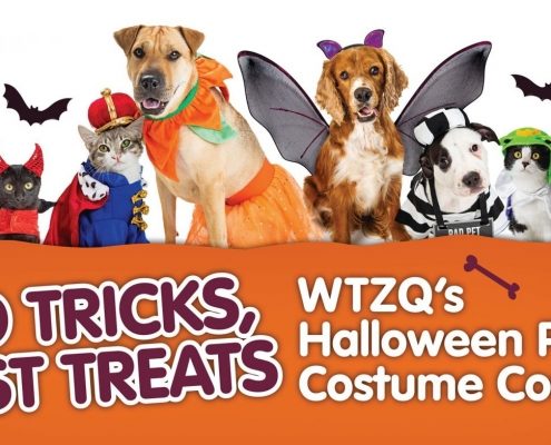 WTZQ Costume Contest Header with animals in costumes