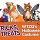 WTZQ Costume Contest Header with animals in costumes