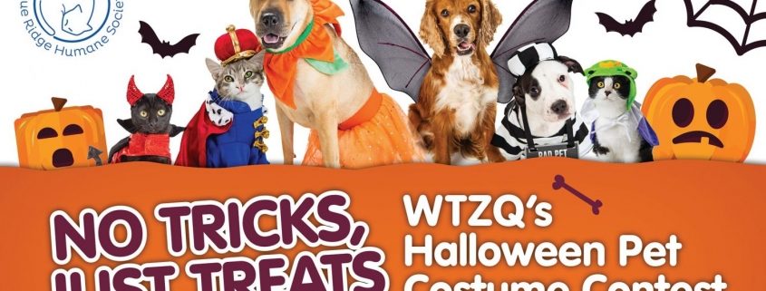 WTZQ Costume Contest Header with animals in costumes