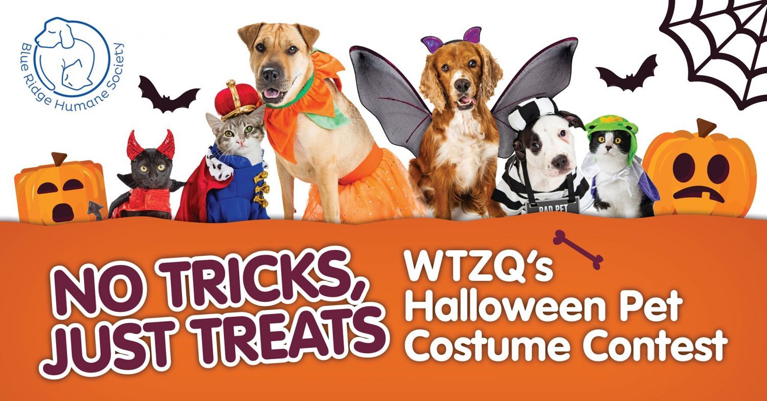 pet costume contest