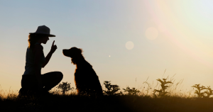 silhouette of a dog and woman sitting on the ground 