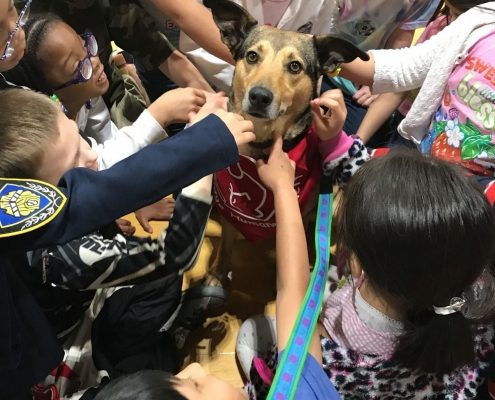 A dog sits in the middle of a group of children as they reach to pet her.