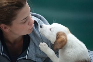 a women in a grey sweatshirt looks at a blond colored puppy