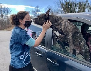 a women with dark hair pets a dog leaning out of a car window