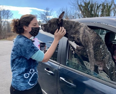 a women with dark hair pets a dog leaning out of a car window