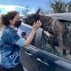 a women with dark hair pets a dog leaning out of a car window