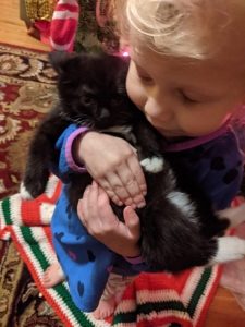 a black kitten with small white markings is held gently by a young child