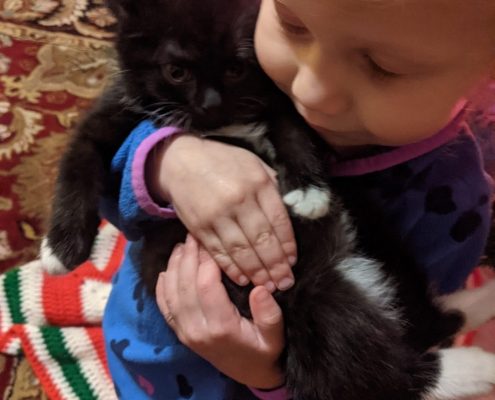 a black kitten with small white markings is held gently by a young child