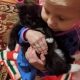 a black kitten with small white markings is held gently by a young child