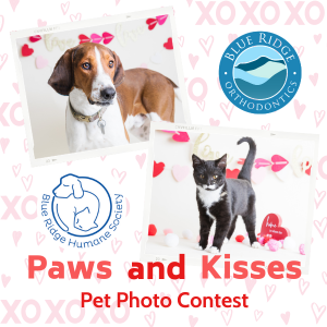 Promotional image for a valentine's day themed pet photo contest