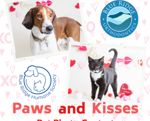 Promotional image for a valentine's day themed pet photo contest