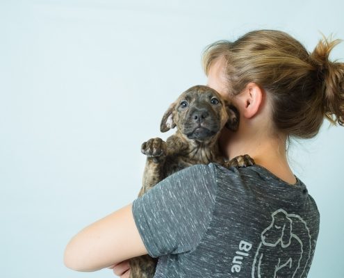 a puppy with it's face towards the camera is held by a women facing away from the camera