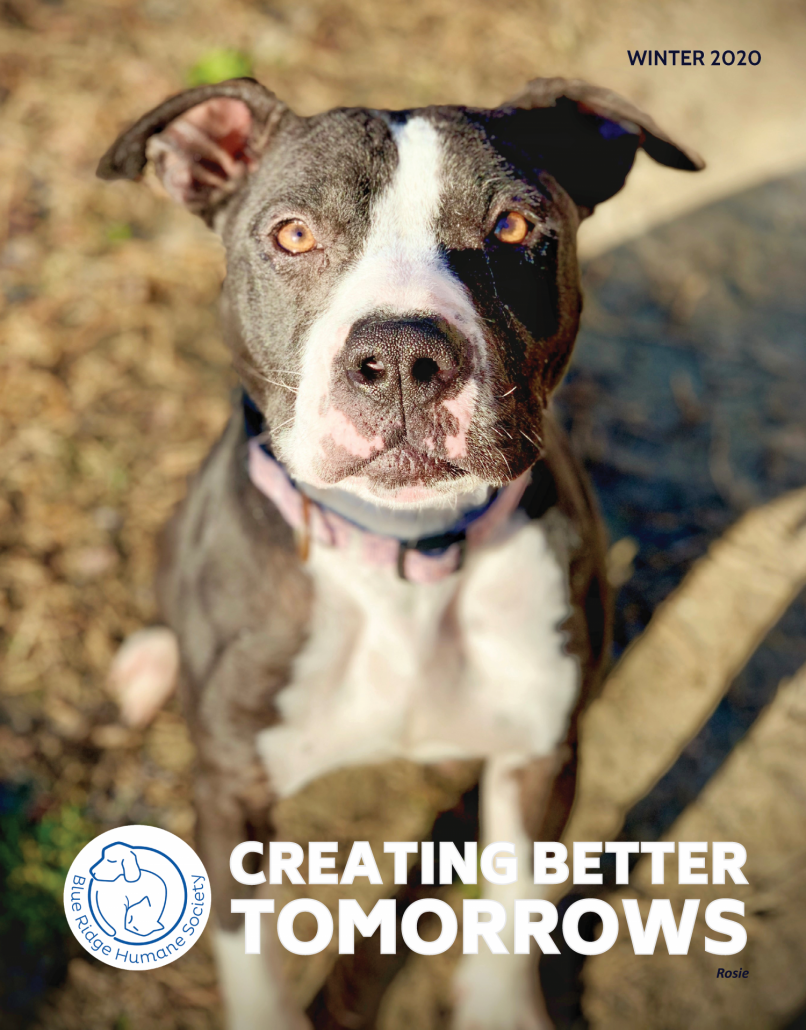 cover of winter newsletter featuring a black and white dog sitting on the ground