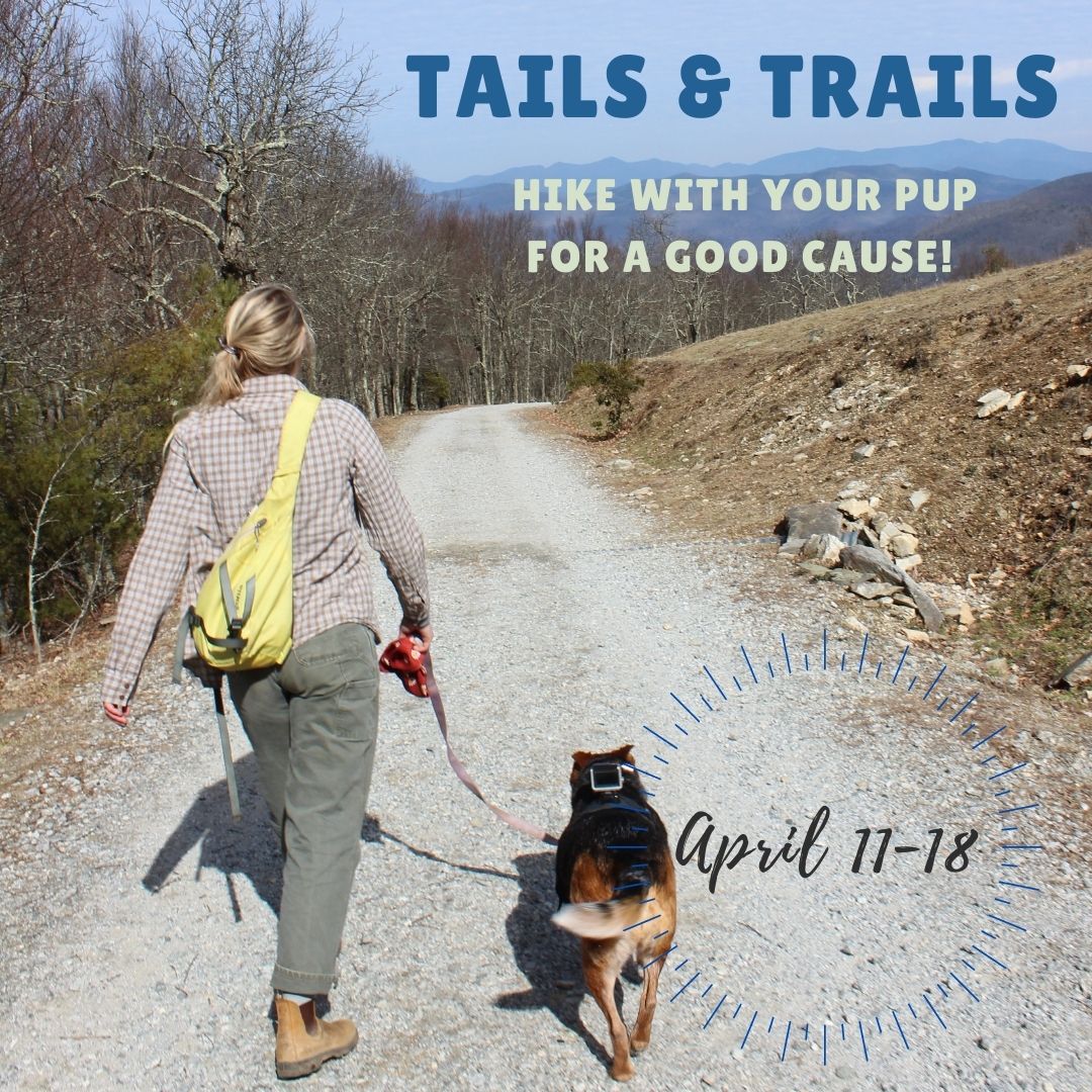 Get Ready to Hit the Trails Blue Ridge Humane Society