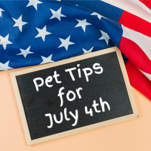 an American flag background with a chalkboard with text reading: Pet tips for July 4th