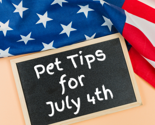 an American flag background with a chalkboard with text reading: Pet tips for July 4th