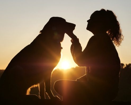 silhouette of a large dog sitting facing a woman