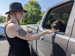 a side view of a woman feeding a treat to a dark colored dog sitting inside a truck