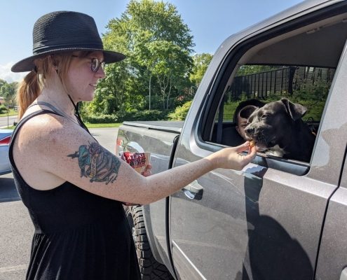 a side view of a woman feeding a treat to a dark colored dog sitting inside a truck