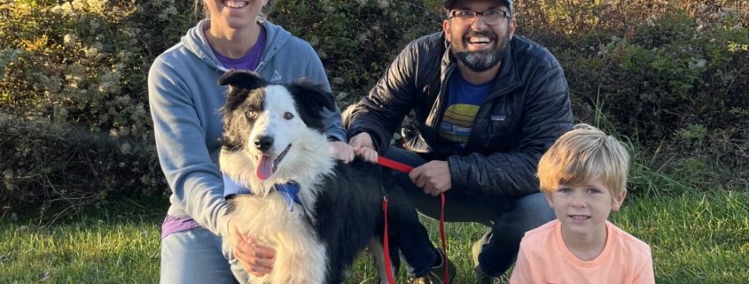 a women, man, and young child pose with a multicolored medium sized dog