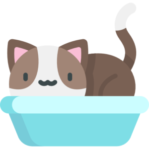 drawing of a cat in a litterbox