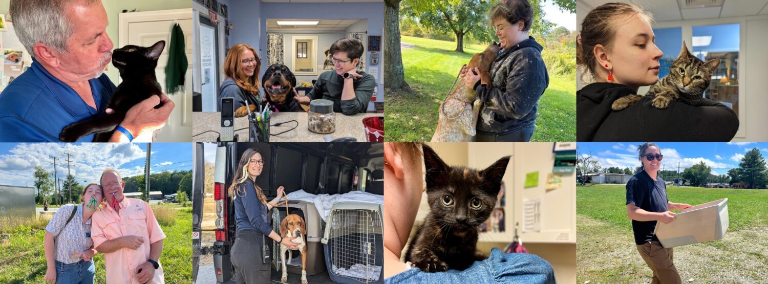 Careers | Blue Ridge Humane Society | Hendersonville, NC