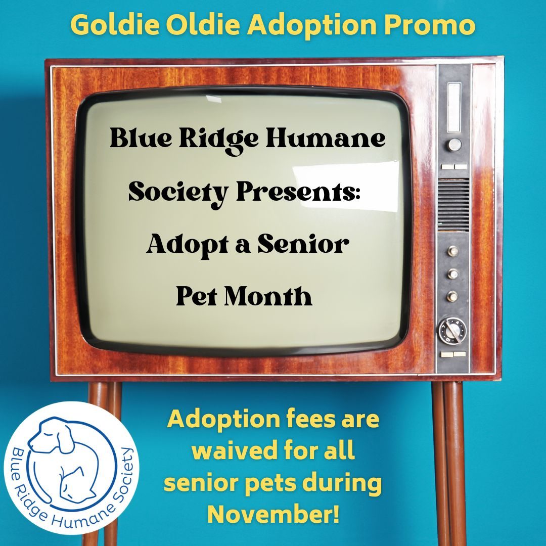 Adoption Fees Waived for Senior Pets Blue Ridge Humane Society