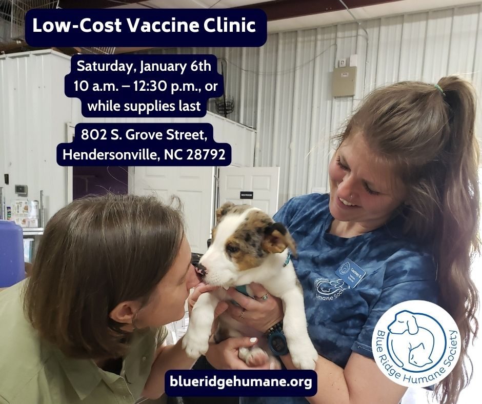 Low cost vaccine clinics near best sale me