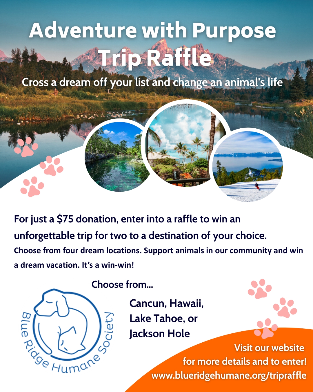 Trip raffle 60 photos - Arptravels.com