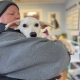 A small white puppy is being held by a man in a hat