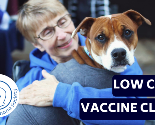 Woman holding a brown and white dog at a vaccine clinic