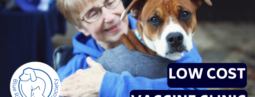 Woman holding a brown and white dog at a vaccine clinic