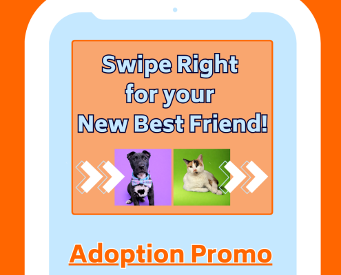 Swipe Right for Your New Best Friend Adoption Promotion running January 30 through February 14. Graphic of a phone screen with a black puppy in a bowtie and a cat with orange and black spots.