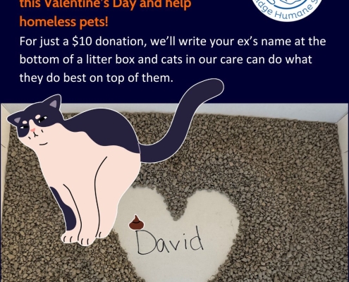 Dump on Your Ex Give your ex something extra special this Valentine’s Day and help homeless pets! For just a $10 donation, we’ll write your ex’s name at the bottom of a litter box and cats in our care can do what they do best on top of them.