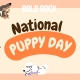 Bold Rock Hard National Puppy Day